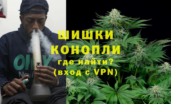 индика Абаза