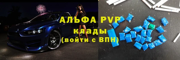 индика Абаза