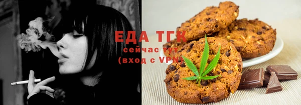 индика Абаза