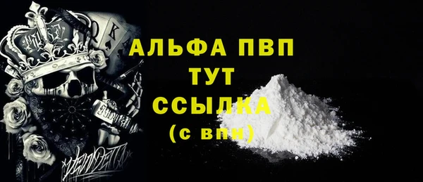 индика Абаза
