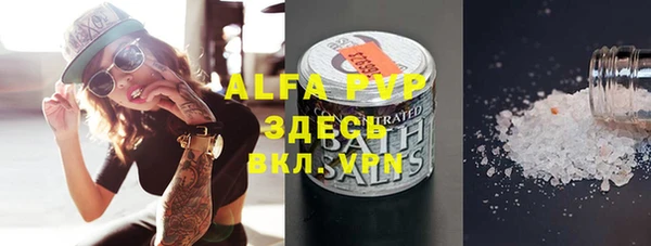 индика Абаза
