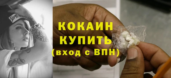 индика Абаза
