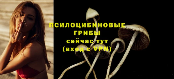 индика Абаза