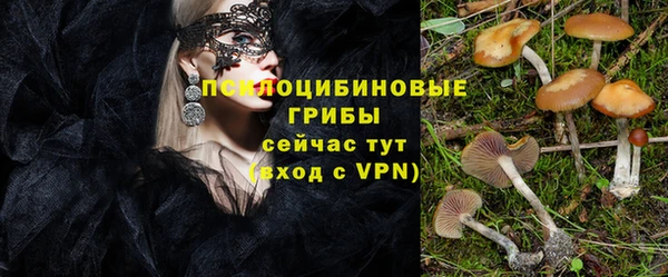 индика Абаза