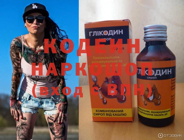 индика Абаза